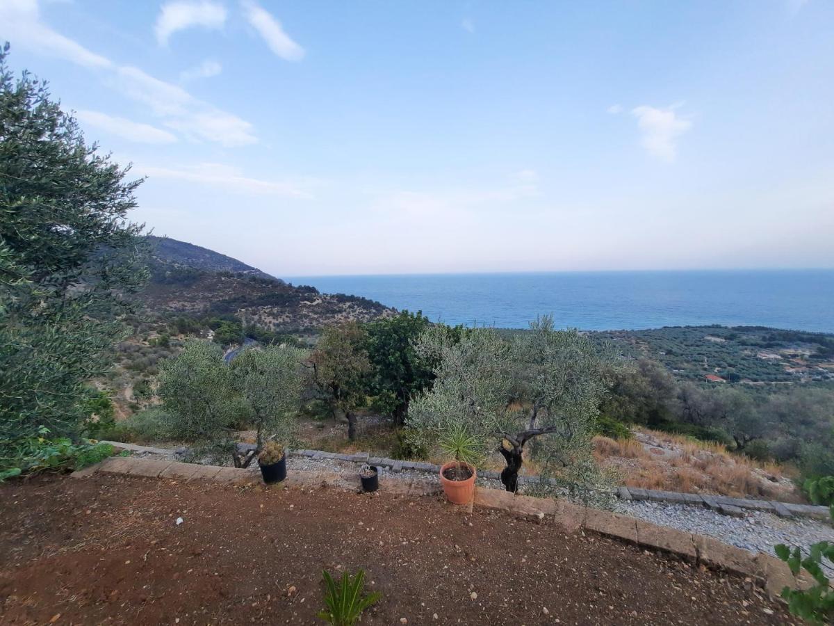 Villa Lulu' Mattinata Esterno foto